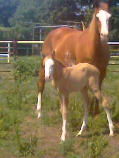 20100527Babygirl.jpg